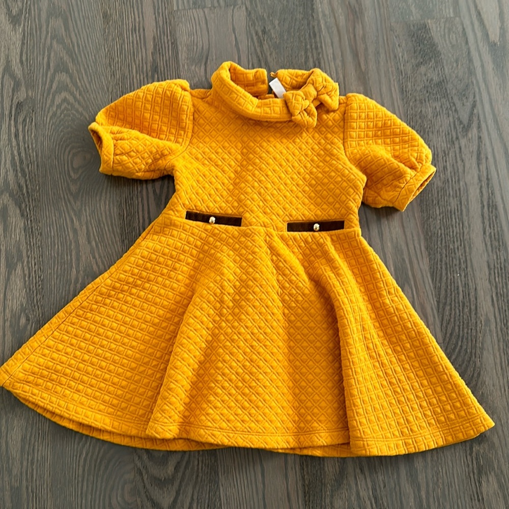 Janie and Jack Ponte dress